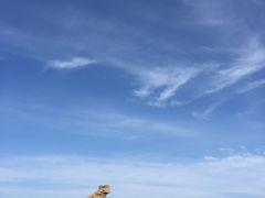 -敦煌雅丹国家地质公园
