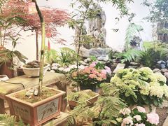 -双季花艺园艺市场(浦东店)
