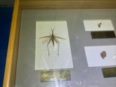 -上海昆虫博物馆