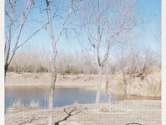 -东郊湿地公园