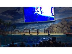 -福州罗源湾海洋世界旅游区