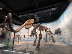 -辽宁古生物博物馆