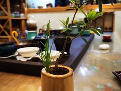 -畅和茶坊·曦瓜中国大红袍
