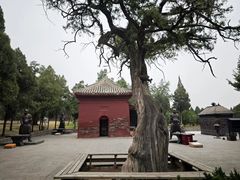 -中岳庙