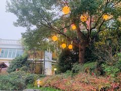 -杭州第一世界大酒店·云曼温泉