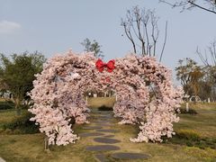 -府河摄影公园