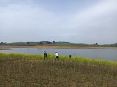 -阿哈湖国家湿地公园