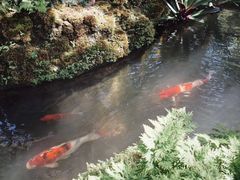 -Chom Cafe and Restaurant