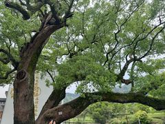 -上坦村