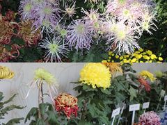 -杭州植物园
