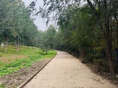 -永定河休闲森林公园