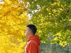 -三里屯东五街银杏大道