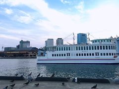 -神户港
