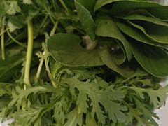 -草原传奇鲜羊火锅(桥北店)