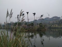 -枫香湖儿童公园