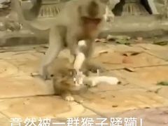 -昆明动物园