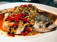 豆豉辣椒蒸鲈鱼-煲煲好(朝阳门店)