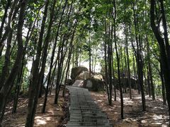 -火炉山森林公园