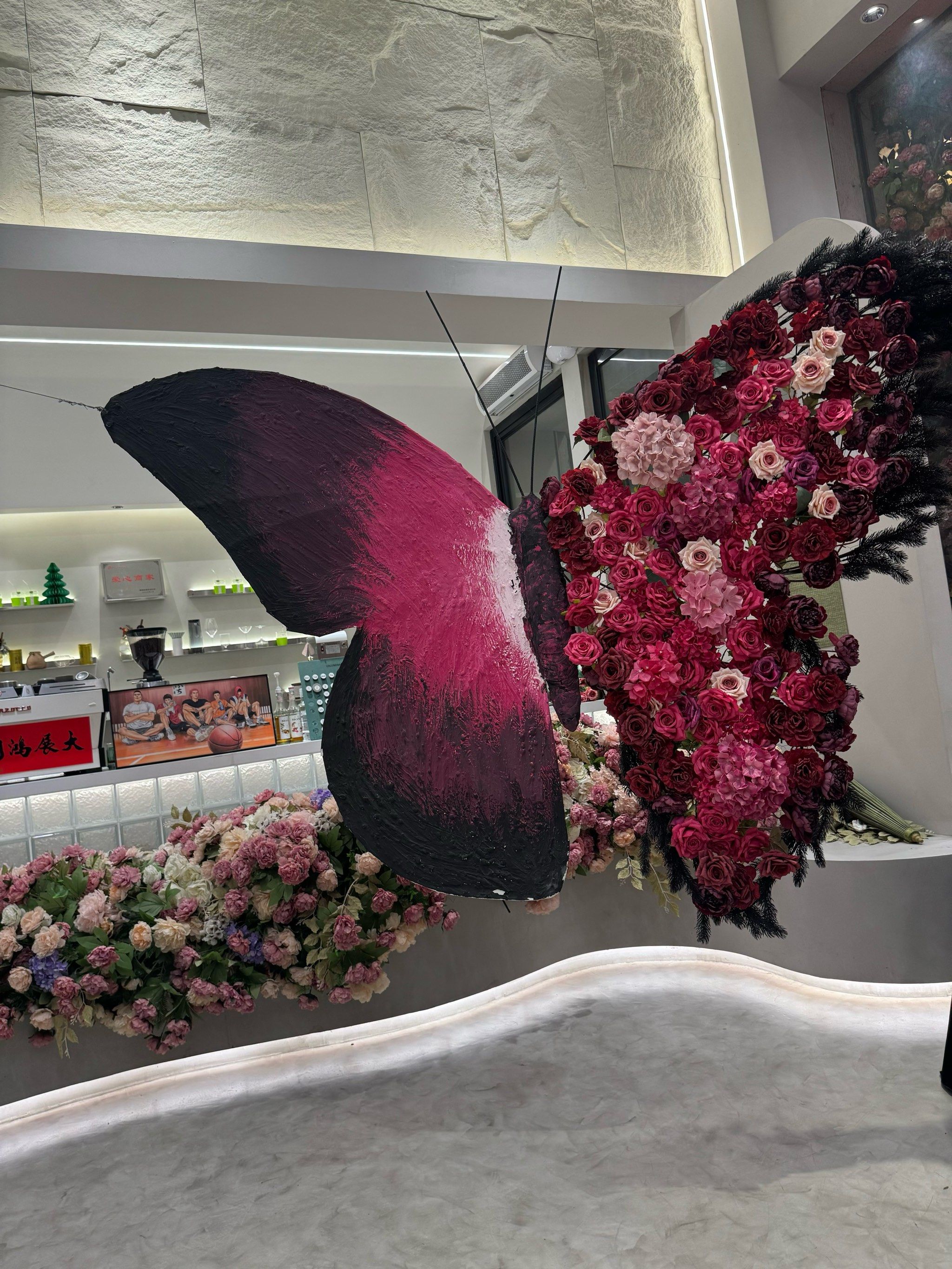 巨型花蝴蝶 义乌遥遥领先