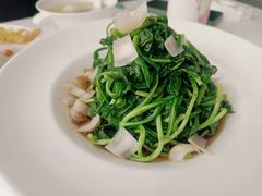 白灼马兰头百合-箸福·夜上海(雨花客厅店)