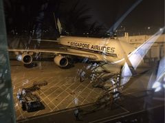 -新加坡航空公司(ION)