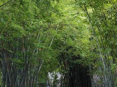 -晓港公园