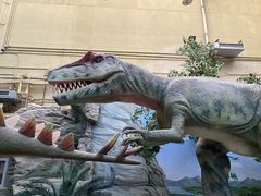 -国家自然博物馆