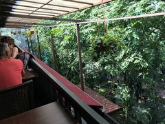 -吉隆坡雀鸟公园