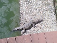 -石家庄市动物园