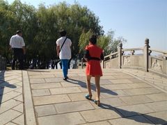 -九龙湖公园
