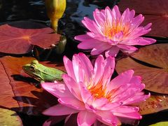 -国家植物园南园