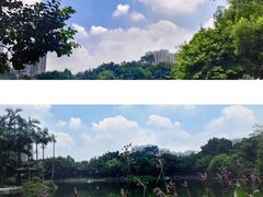 -荔湾湖公园