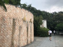 -大屏嶂森林公园