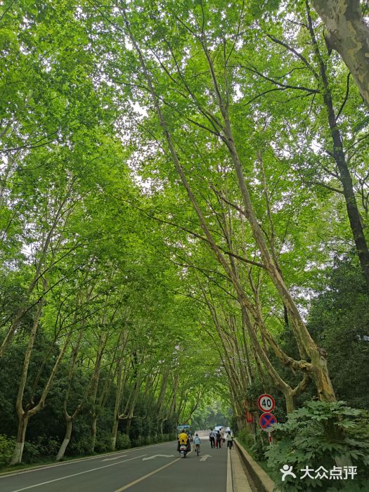 钟山体育运动公园图片