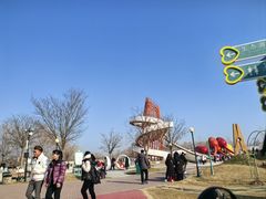 -荷兰花海