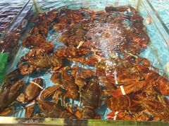 -海蓝海鲜馆(五四北店)