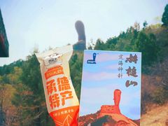 -磬锤峰森林公园