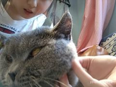-藦茜花园宠物主题亲子互动体验馆(国顺东路店)
