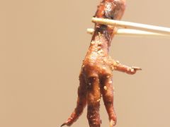 烤卤鸡爪-小红烤翅(傅厚岗店)