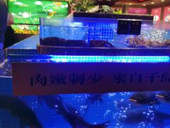 -鸽子侯·家宴·平价海鲜(绿地店)