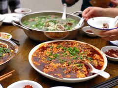 -小杨翘脚牛肉