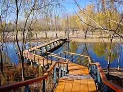 -东郊湿地公园