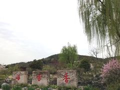 -香雪海