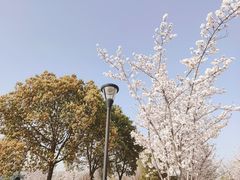 -上海山野camping·户外天幕烧烤·团建拓展营地