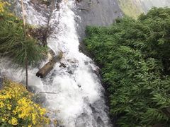 -贵阳市花溪国家城市湿地公园