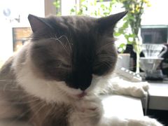 -灯塔咖啡馆BOOK·Coffee Shop