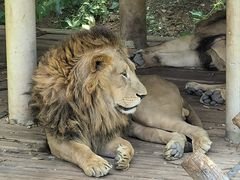 -石家庄市动物园