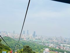 -惠山国家森林公园