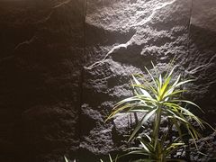 -隐炉和牛烧肉店(群力店)