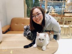 -藏猫猫咖啡主题馆(中央大道店)